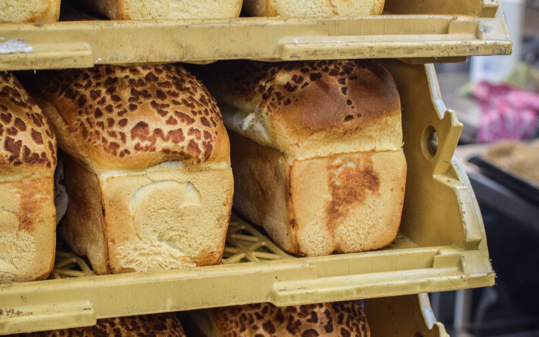 Voedselverspilling: Wat gebeurd er met ons (oud) brood?